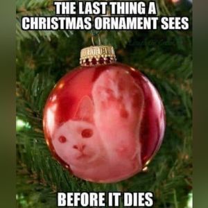 MERRY CHRISTMAS!!🎄